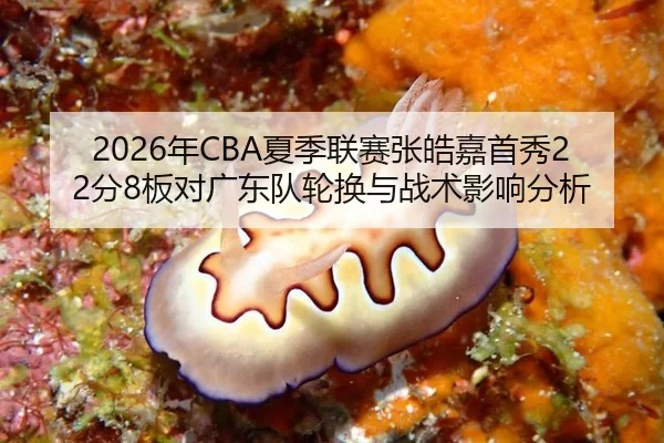 2026年CBA夏季联赛张皓嘉首秀22分8板对广东队轮换与战术影响分析